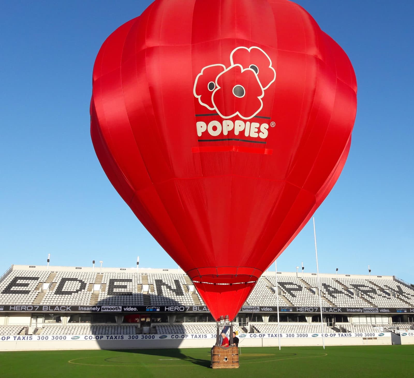 Poppies hot air balloon at Eden Park